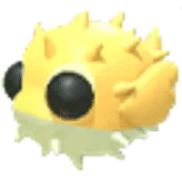 Puffer Fish