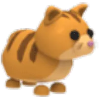 Ginger Cat