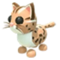 Leopard Cat