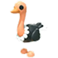 Ostrich