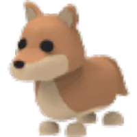 Dingo