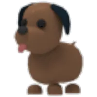 Chocolate Labrador