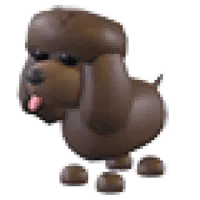 Irish Water Spaniel
