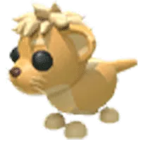 Lion Cub