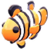 Clownfish