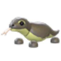 Komodo Dragon