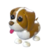 Brown Springer Spaniel