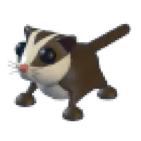 Sugar Glider