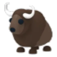 Buffalo
