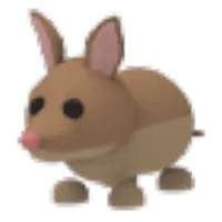 Bandicoot