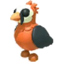 Lammergeier