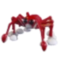 Spider Crab