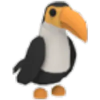 Toucan