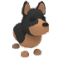 Australian Kelpie