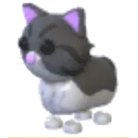 Persian Cat