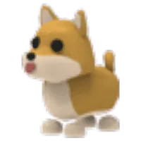 Shiba Inu