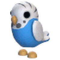 Parakeet