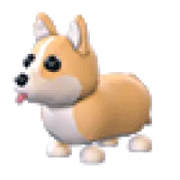 Corgi