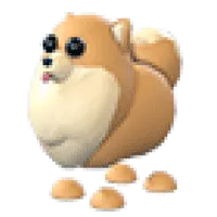 Pomeranian