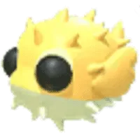Puffer Fish