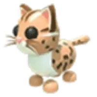 Leopard Cat
