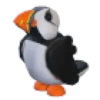 Puffin
