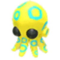Blue Ringed Octopus