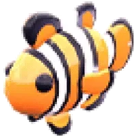 Clownfish