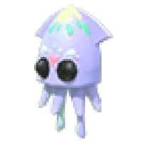 Squid