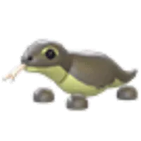 Komodo Dragon