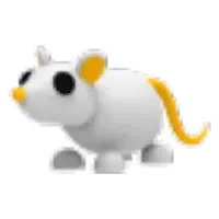 Golden Rat