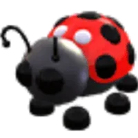 Ladybug