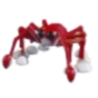 Spider Crab
