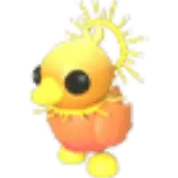 Sunrise Duckling