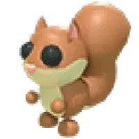 Red Squirrel