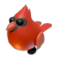 Red Cardinal