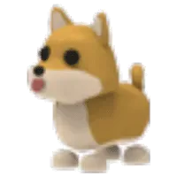 Shiba Inu