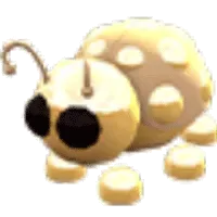 Golden Ladybug