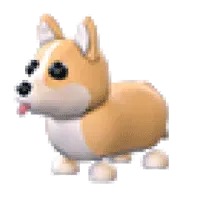 Corgi