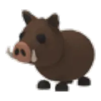 Wild Boar