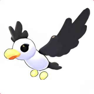 Pilot Gull