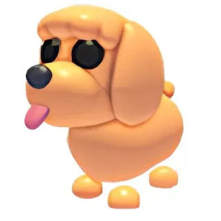 Toy Poodle