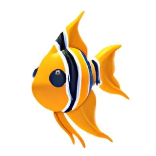 Angelfish