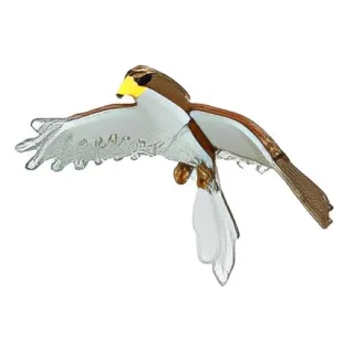 Hawk