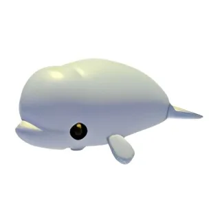 Beluga Whale