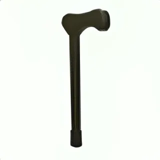 Walking Cane