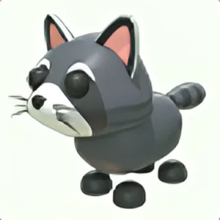 Raccoon