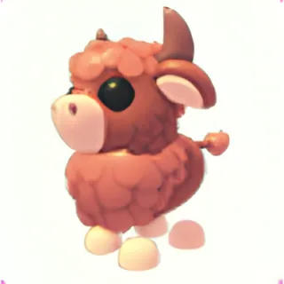 Angus Bull