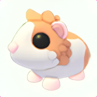 Red Dutch Guinea Pig