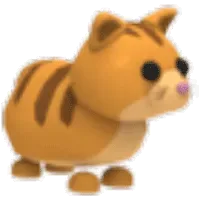 Ginger Cat